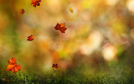 1239220 (a): :2880x1800